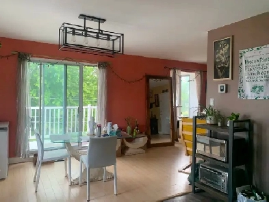 Appartement à louer pour novembre (Cession de bail)