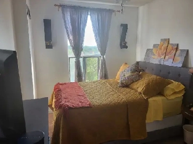 FEMALE ROOMMATE WANTED