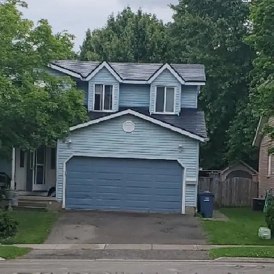 Room for Rent in Guelph West End!