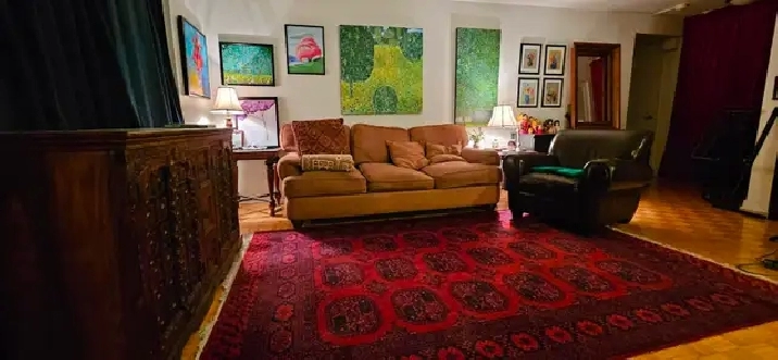 DOWNTOWN Montreal-LARGE beautiful 3 1/2, 1 bedroom-near McGill