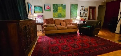 DOWNTOWN Montreal-LARGE beautiful 3 1/2, 1 bedroom-near McGill