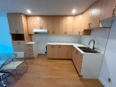 3 ½ rénové parking 4 électros - Hochelaga -1490 $ - 6 min. Metro