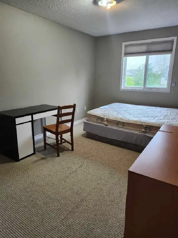 Room for rent from SEPTEMBER 1st