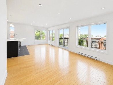 Spacious 3-bedroom with a large private terrace in LaSalle.