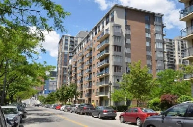 Appartement de luxe à louer en plein centre-ville