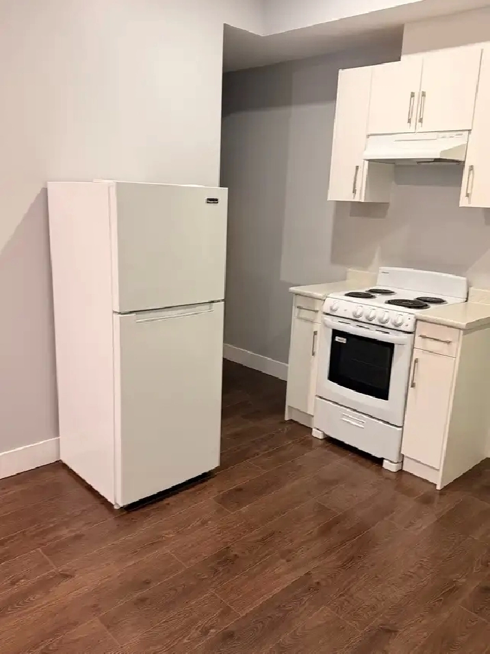 Beautiful Bachelors Suite for rent in Cloverdale