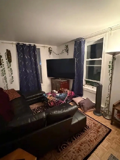Bright Fully Furnished Apartment in Griffintown, Move-in Sept 1