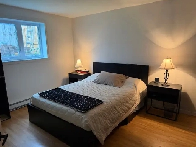 DUPLEX Grand 41/2 très lumineux - Abri tempo - Électros inclus