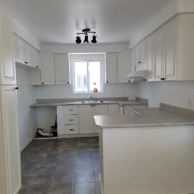 Superb Very Bright and Freshly Renovated 4½ in Longueuil.