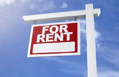 Room for rent (Finch and Islington)