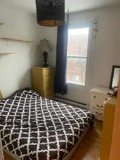 chambre à louer