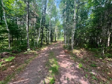 Waterfront land for sale