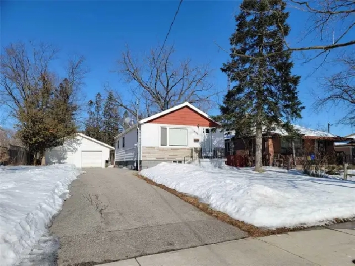 Whole house for rent available, August