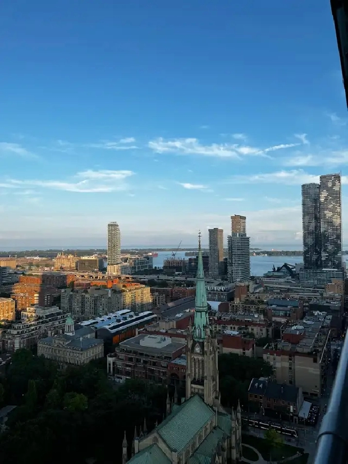 29th Floor | Unobstructed Lake View | Luxury 1BR at Spire |