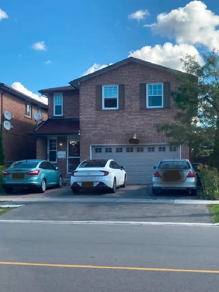 Beautiful 2 bedroom basement apartment in triplex or rent!