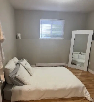 Newer 2 Bedroom Basement Suite for Rent