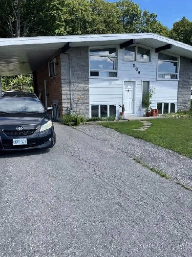 A bright 1- bedroom basement apartment- non smoker