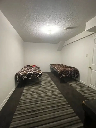 Full basement for rent Brampton