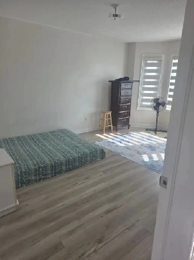 $750 – One Bedroom for Rent – Bovaird & Mountainash (Brampton)