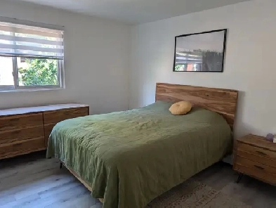 4 1/2 rue Vimy (Nord) Animaux permis dispo 15 août (étudiants)