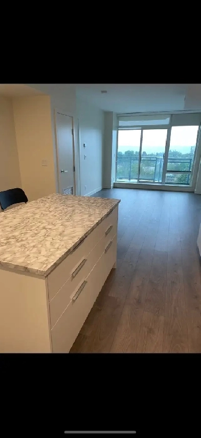 Bright & Modern 2 Bed   2 Bath Condo for Rent(Surrey SFU)