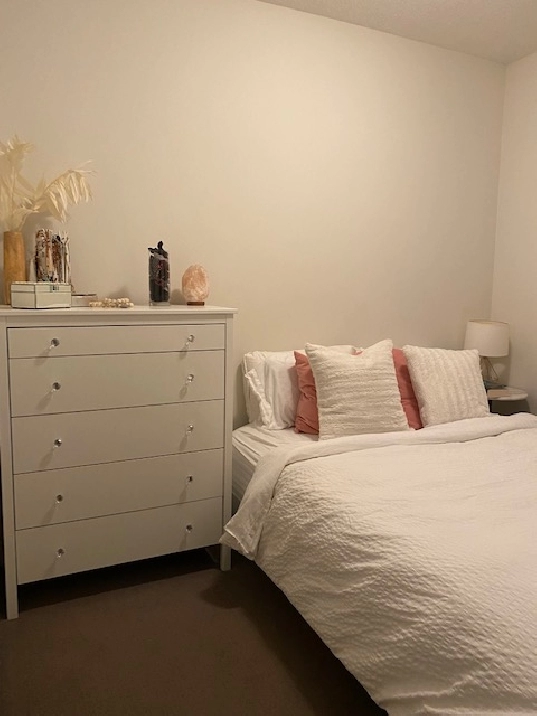 1 Bedroom apartment for rent @ 250 East 6th Avenue, Vancouver