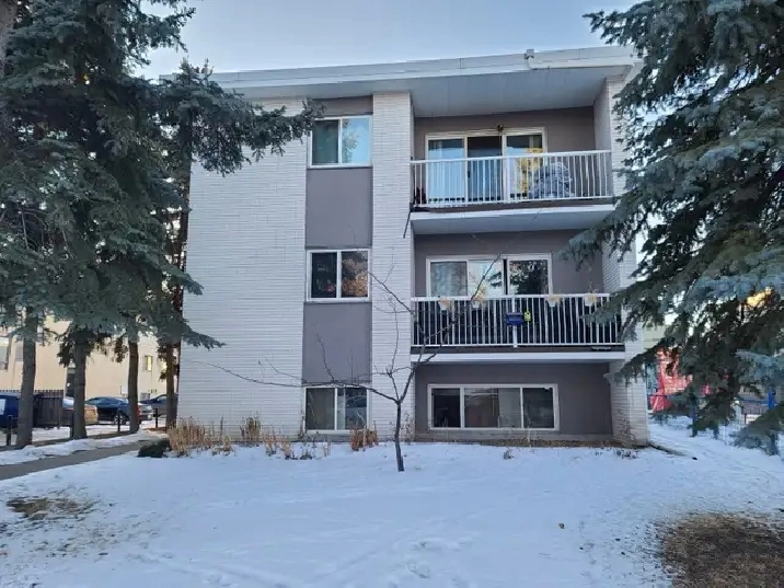 One Bedroom near Kingsway Mall, NAIT Campus & Downtown