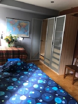 Cute Room  for rent, no parking. Tel 416-721-7591