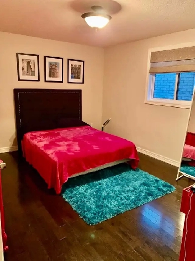 2 Student Bedrooms Available for Rent