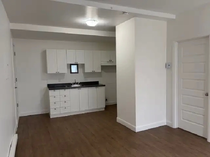 Très beau 3 1/2, St-Sauveur rue Boisseau, LIBRE