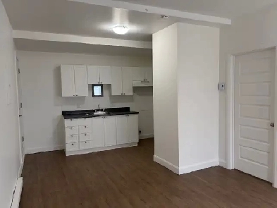 Très beau 3 1/2, St-Sauveur rue Boisseau, LIBRE