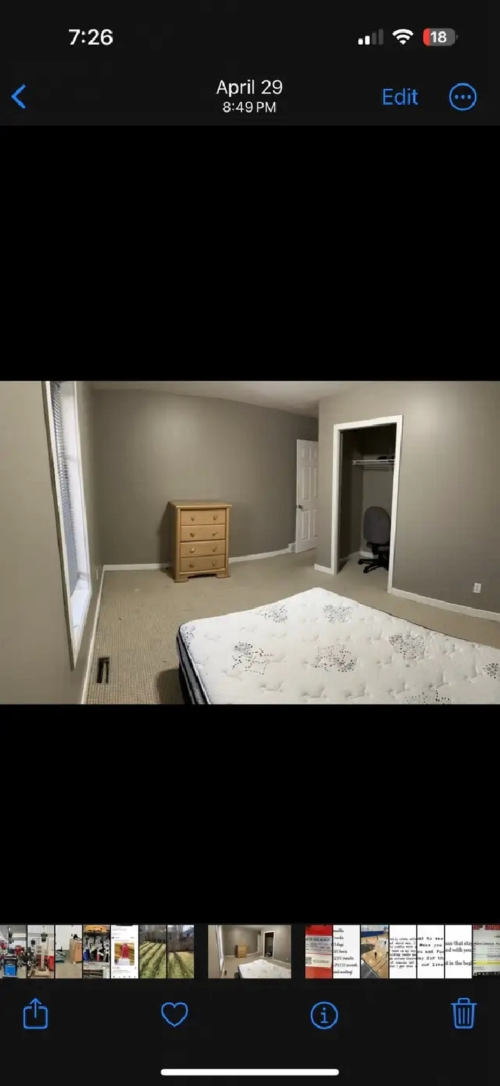 Photo 5