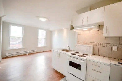 Studio Bachelor Apartment in Corktown