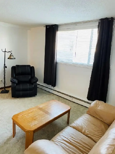 Furnished 1 BedRm. Suite, Non-Smoking, Eastside Suite