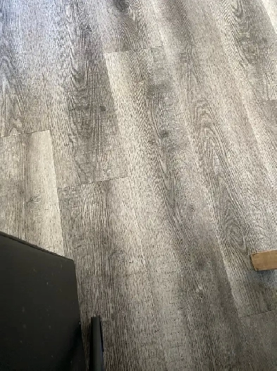 2 Bedroom basement