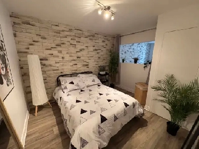 Rosemont superbe 3 1/2 rénové meublé ou pas !