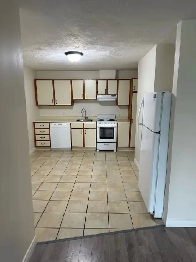 Large Basement Apartment For Rent In Riverview