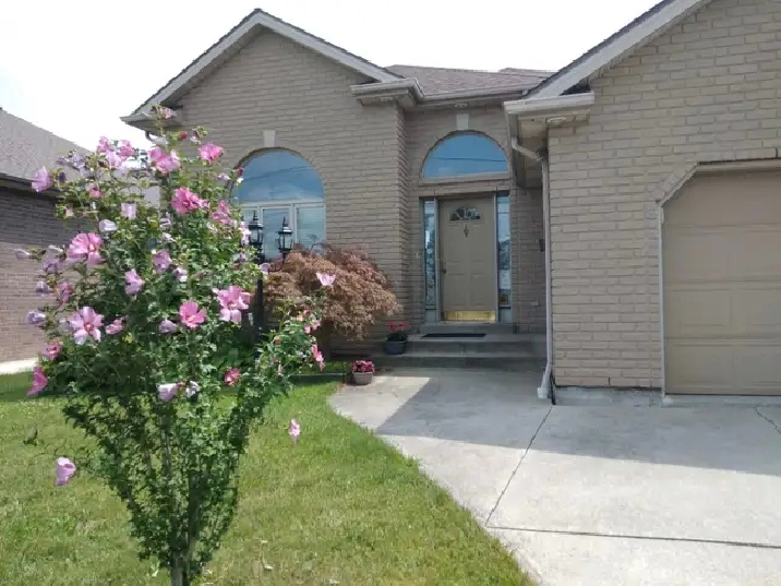 Large room for rent near St.Clair College and move in right now