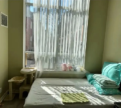 Toronto DT Subletting last month (starting Aug 5) (All included)