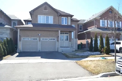 Beautiful 2 BEDROOM Basement For Rent Nice & Clean
