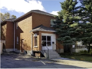 Bachelor Basement for Rent