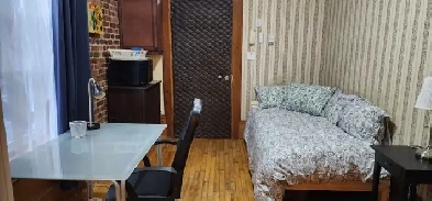 Métro Sherbrooke, mini-studio meublé, tout inclus