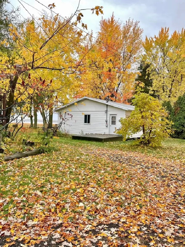 Le bord du fleuve pour l’automne-La campagne en ville