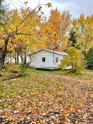 Le bord du fleuve pour l’automne-La campagne en ville