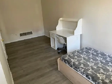 York University village room for rent