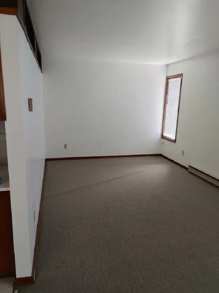 1 Bedroom Apartment Near B.U. - Clean and Available Anytime