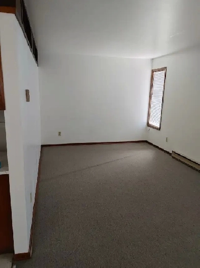 1 Bedroom Apartment Near B.U. - Clean and Available Anytime