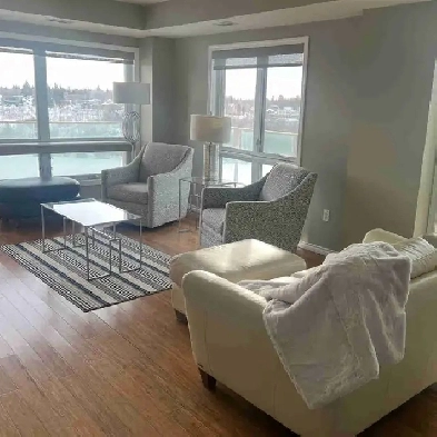 Furnished executive downtown condos