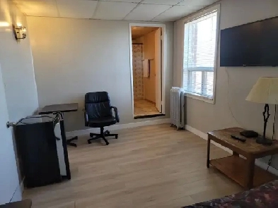 Furnished Large bachelor- all utilities included-pet friendly