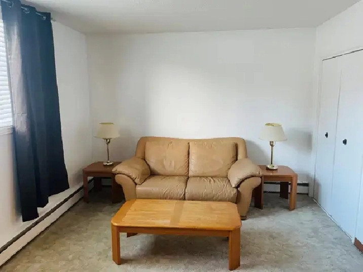 Furnished One Bedrm. suite, Non-Smoking Suite, Eastside Suite